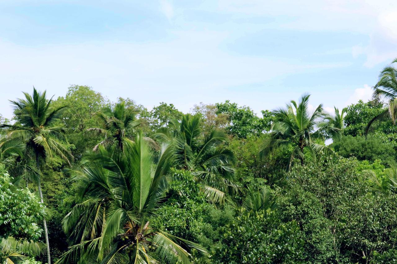 Villa Royce แคนดี้ ภายนอก รูปภาพ