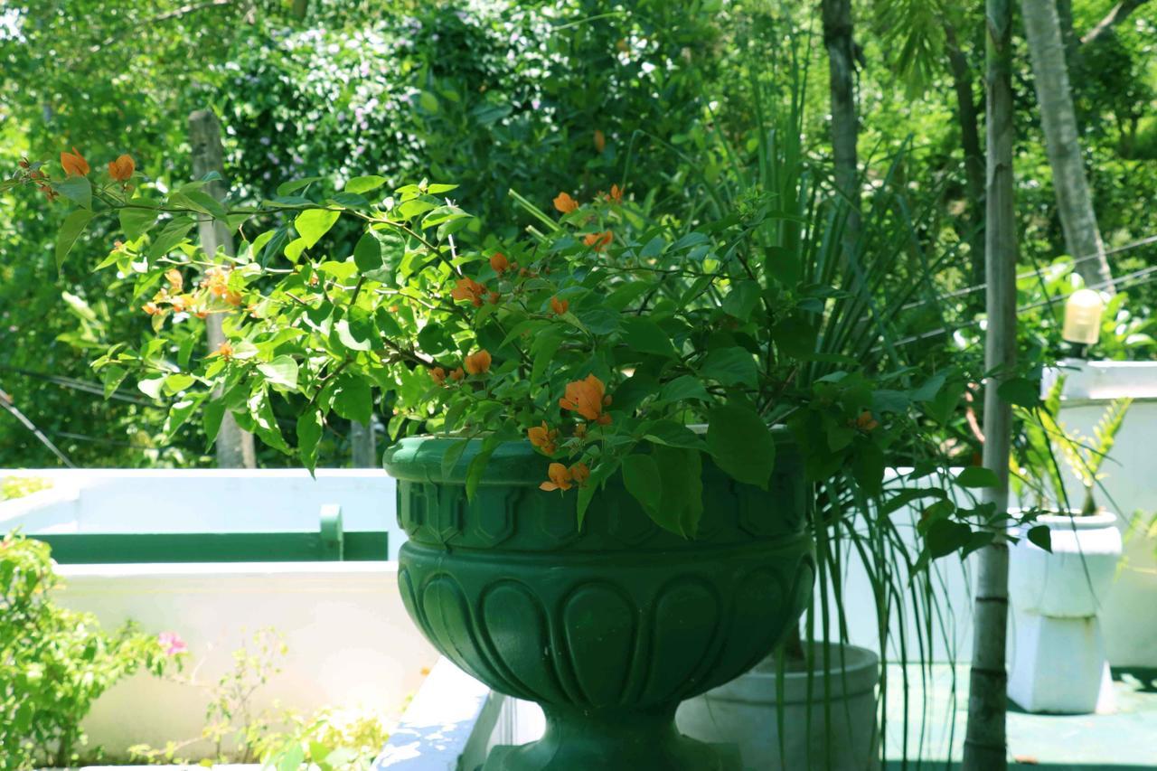 Villa Royce แคนดี้ ภายนอก รูปภาพ